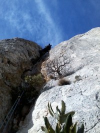 La troisième longueur