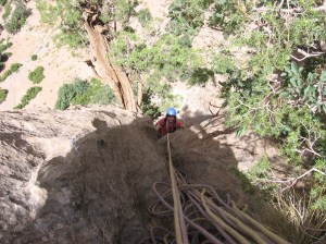 Dans le haut de la voie
