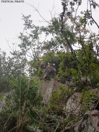 Une escalade très "jungle"