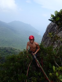 Au sommet, dans la jungle