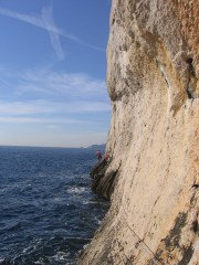 A contresens, l'ouvreur de la voie, Barney!