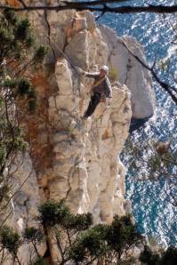 Dans les rappels du collet