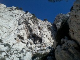 Les lignes de la Flore, du Petit Pois, du retour d'Ulysse et de la sans maître