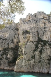 Au centre, la belle ligne de la Si Ray