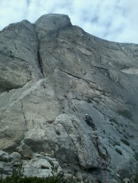 La voie normale du Signal