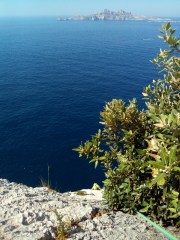 Dans le haut de la voie