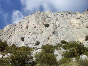 Vue sur la paroi du Baou des Vespres