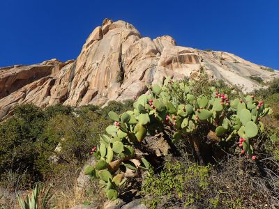 El Cerro Blanco, face sud est - Etat de Durango