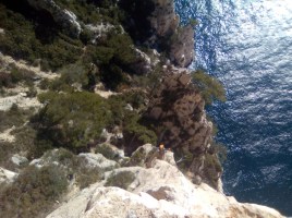 Cacochymes pervers, la longueur médiane