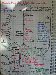 pilier des écureuils