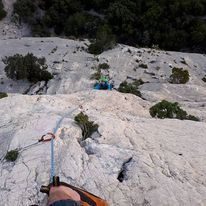 basket blues deux aiguilles