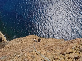 escalade immortelles cap canaille