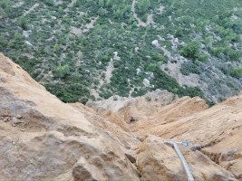 bitard à rudiste cap canaille