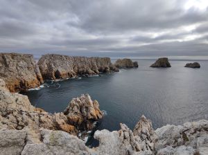 310716175_791011772353310_4575043899782322653_n