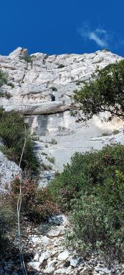 tête de la mounine voie de l'écaille