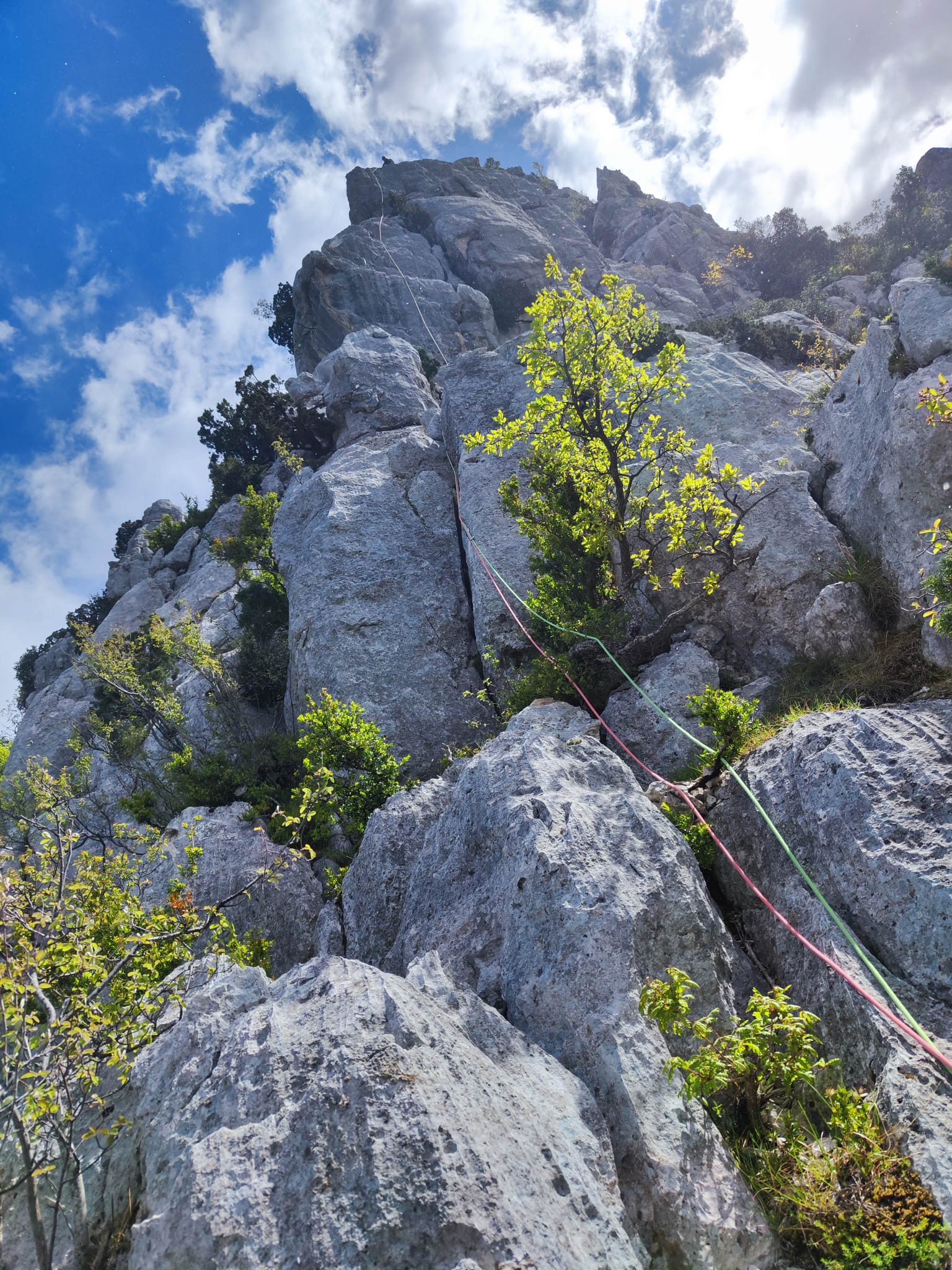 bitard de serre meyan